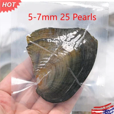 25Pcs Natural Akoya Pearl Oysters 5-7mm Real Pearl Freshwater Pearl Holiday Gift - Image 1 of 4