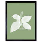 White and Green Exotic Flora Wall Art Print Framed 12x16