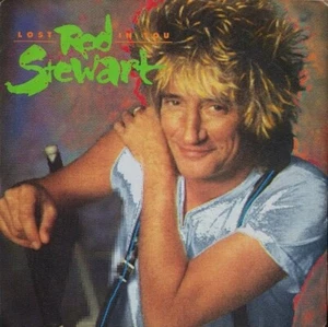 Rod Stewart – Lost In You,VINYL,7",45 RPM - Foto 1 di 4