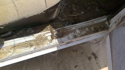 Panel de moldura de umbral derecho para pasajero Ford Ranchero 64 OEM cromado alféizar Rh Foto 1 de 4