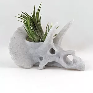 Triceratops Skull Planter Dinosaur Succulent Air Plant Holder Pot Home Decor - Foto 1 di 5
