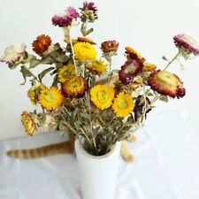 Natural Dried Flowers Bouquet Dry Flowers Photography Backdrop Home Decor