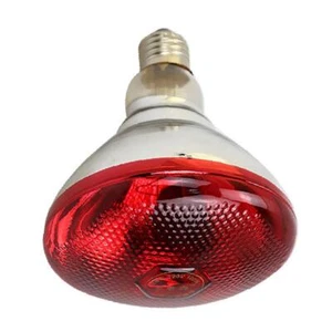 Heat Lamp for Chickens Coop Brooder and Reptile Heat Bulb Infrared Red Ligh - Picture 1 of 18