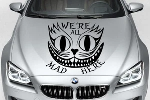 Alice In Wonderland Cheshire Cat Vinyl Decal Graphic Car Truck Hood Side USA - Foto 1 di 1