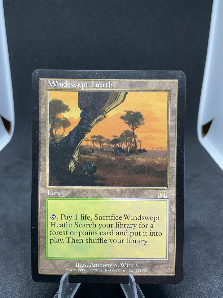 Windswept Heath Onslaught Regular MTG 328 MP - Image 1 of 4