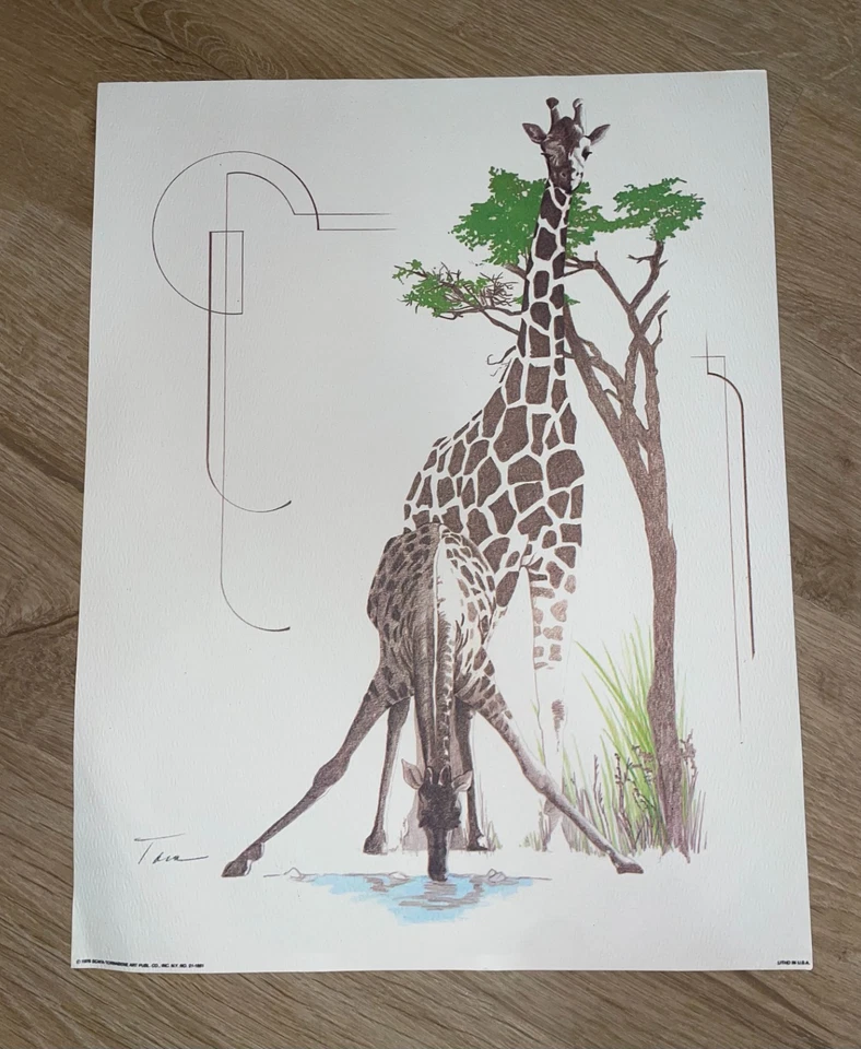 Vintage Giraffes at Watering Hole 1976 Scafa-Tornabene Art Litho -  FREE SHIPPIN - Image 1 of 1