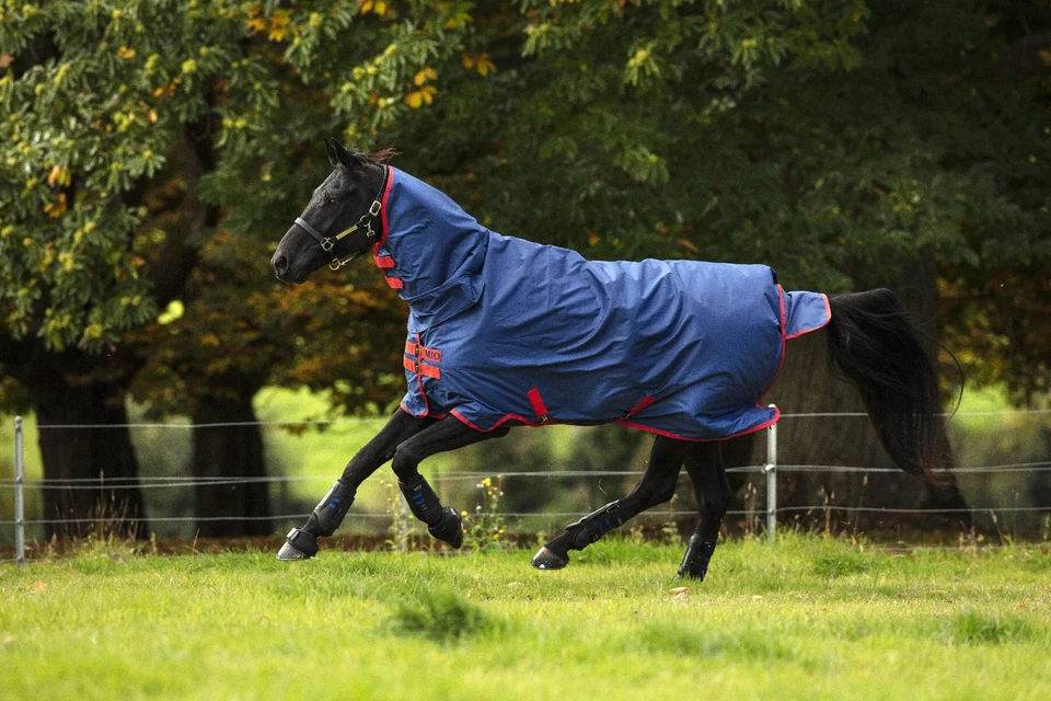 Horseware Amigo Mio All-In-One Turnout heavy 350g dark blue Winterdecke Halsteil - Bild 1 von 1