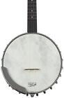 Recording King Madison Open Back RK-OT26 Banjo with Whyte Laydie-style Tone Ring