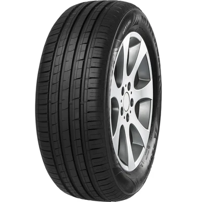 MINERVA F209 225/55 R16 99 W Pneumatico Estivi Gomma - Immagine 1 di 4