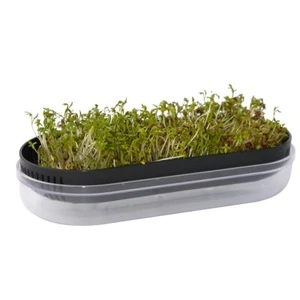 Keimschalen Indoor Keimsprossenbox Keimschale Sprossenbox mit Deckel 18 x 8 cm - Bild 1 von 4