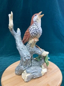 Vintage PORCLEIN Figurine - "Wood Thrush" by Andrea Sadek - 8405 (B-03) - Picture 1 of 10