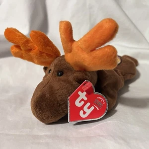 TY Beanie Baby - CHOCOLATE BBOC EXCLUSIVE Original 9 Moose Vintage Plush Toy - Picture 1 of 3