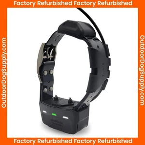 Garmin TT15X Collar with Basic Garmin Strap - Picture 1 of 4