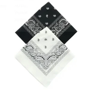 Hankey Men & Boys  Novelty Print Paisley Bandana Handkerchiefs (Pack of 2) - Picture 1 of 3