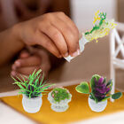 Miniature Bonsai Plants 13pcs Dollhouse Greenery Ornaments