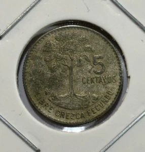1968 Guatemala 5 Centavos Coin - Picture 1 of 3