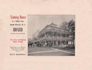 Historic Advertising Print:  Tamney House, New Paltz, Ulster County, New York - Imagen 1 de 1