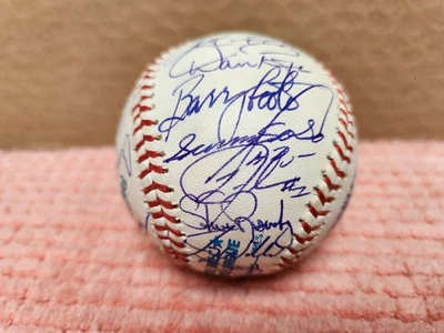 De colección 1990 Equipo de los Medias Blancas Autografiado Ball Roalb con 28 Firmas "DiMag" ESTADO Foto 1 de 4
