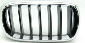 OEM BMW X5 Right Passenger Side Chrome Grille Scratches 51-13-7-294-486 - Picture 1 of 3