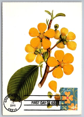 #4531 Garden of Love Pink Flower FDC Maxi Card - Image 1 of 2