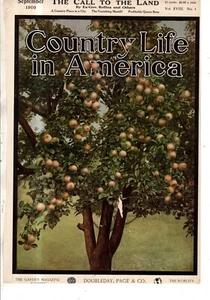 1910 Country Life September Cover only - Apple tree in Wenatchee WA - Bild 1 von 1