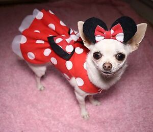 Handmade Dog Dress For Small Dogs - Disney Minnie Mouse - Puppy Chihuahua 