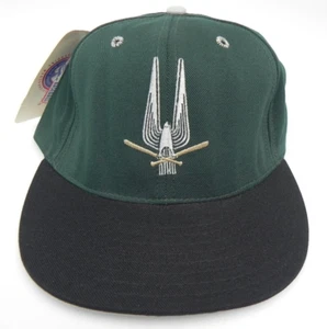 SOUTH BEND SILVER HAWKS MiLB PROLINE VINTAGE FITTED SIZE 7 5/8 HAT CAP NEW RARE! - Picture 1 of 13
