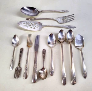 16 Pieces Vtg Assorted Serving Oneida Community Tudor Flatware Silverware - Picture 1 of 8
