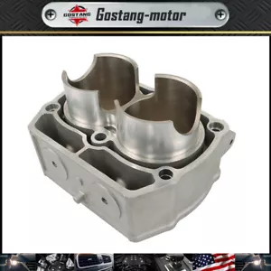 Cilindro motor nuevo para Polaris Sportsman Ranger RZR 800 2204393 2203911 2202696 - Imagen 1 de 12