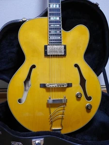 Used Beautiful Ibanez Pm2 Pat Metheny Model Pm2-Aa-12-02 Safe delivery from Japa - Imagen 1 de 10