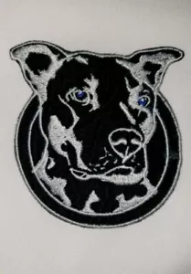 PARCHE DE CHALECO BORDADO PARA MOTOCICLISTA PITBULL DOG OJOS AZULES - Imagen 1 de 1
