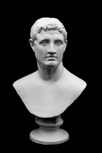 Ptolemy II Philadelphus Bust | Pharaoh of Ptolemaic Egypt | - Picture 1 of 5