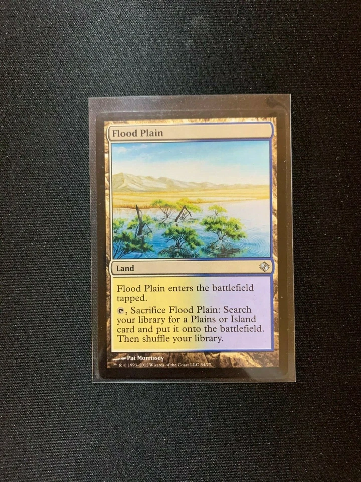 Flood Plain Duel Decks Venser vs. Koth  NM Magic Card - Image 1 of 1