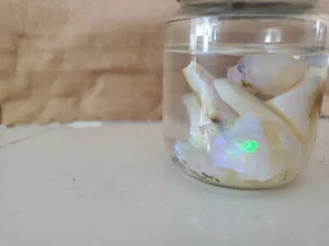 Jar Of Various Sizes Of Raw Opal Stones Beautiful Colors. Lots Of Purple - Picture 1 of 7