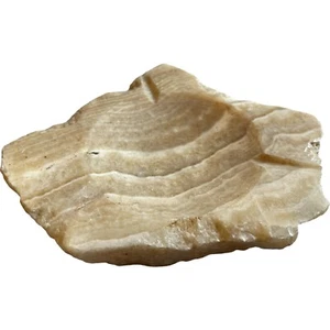 Natural Irregular Shape Marble Quartz Ashtray  9”x 7”x 1” Beige White Ribbon - Picture 1 of 6