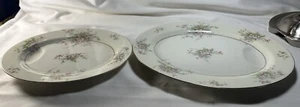 Set of 2 Theodore Haviland Apple Blossom Serving Platters 14 & 11 inches. - Picture 1 of 5