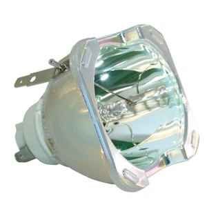 BenQ 5J.J4D05.001 Philips Projector Bare Lamp - Picture 1 of 5