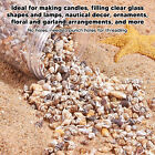 1 Can Tiny Sea Shells Non Porous Natural Spiral Seashells Conch Accessory Blw