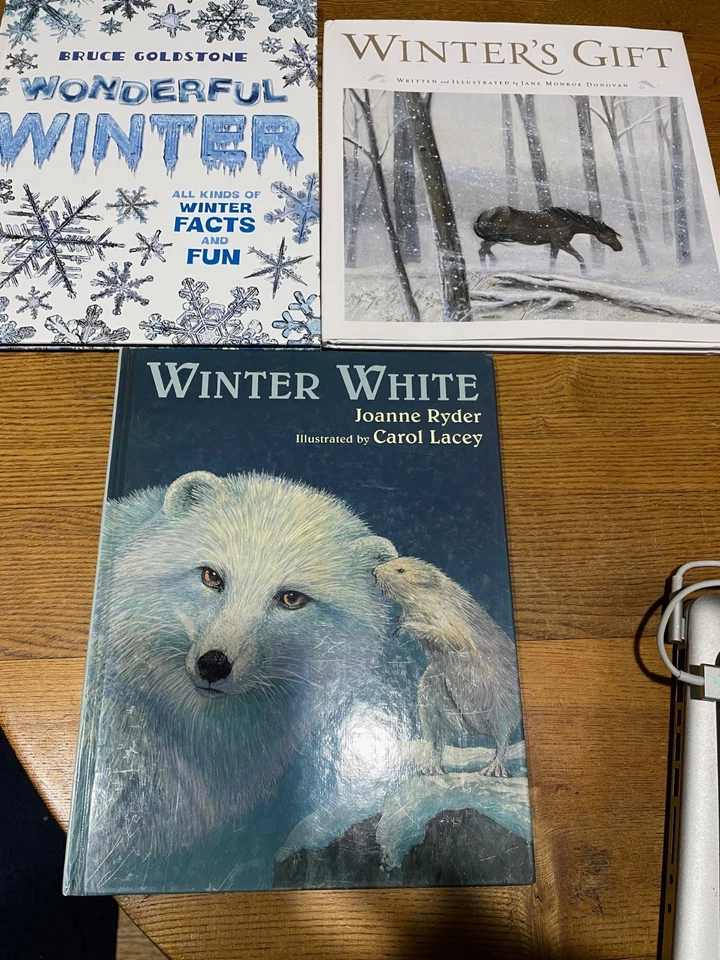 Winter Book Bundle Hardcover - Imagem 1 de 1