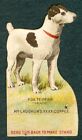 Carte Fox Terrier Dog Card K70 McLaughlin café années 1890 papier découpé sous pression jouet stand up