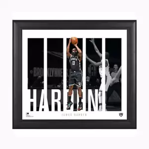 James Harden Brooklyn Nets Official NBA Framed 15" x 17" Panel Collage Framed - Bild 1 von 1