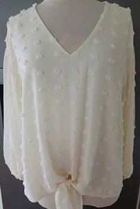 New F&F Cream TEXTURED Semi SHEER Long Sleeve CHIFFON EVENING TOP Blouse 16 18 - Picture 1 of 3