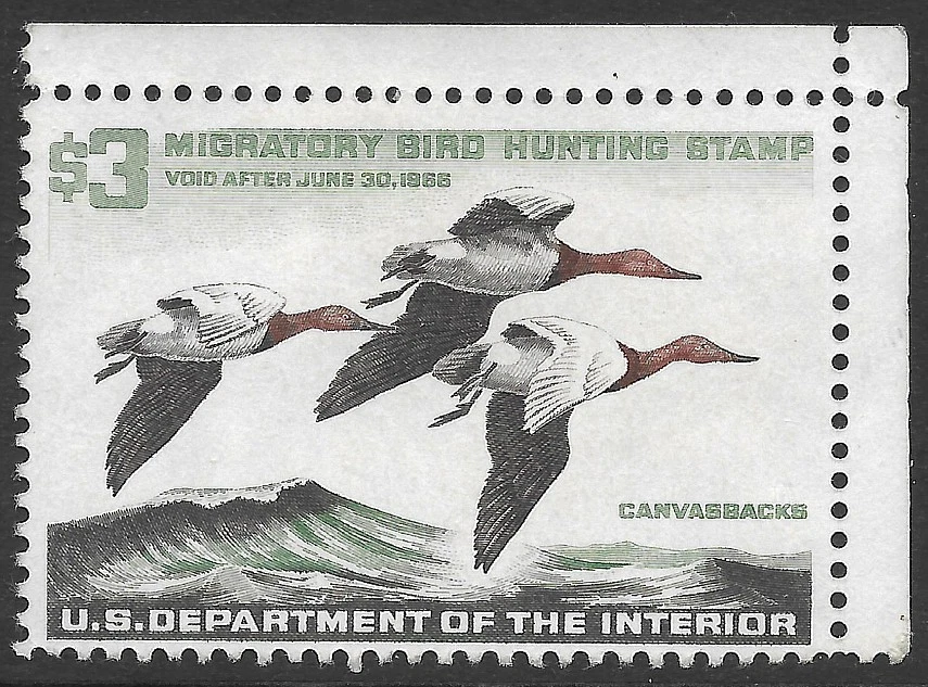 RW32 XF MNH OG-GEM 1965 FEDERAL DUCK HUNTING STAMP WITH SELVAGE (REM #RW32-418) - Image 1 of 1