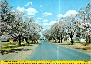(1161) 1-7-2025 - Australia - NSW - City of Casino Jacaranda Tree avenue - Picture 1 of 2