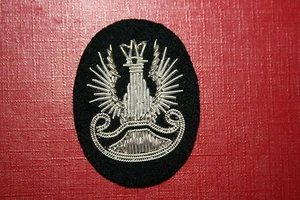 GORRA DE OFICIAL POLACA SEGUNDA GUERRA MUNDIAL / INSIGNIA BOINA ALAMBRE LINGOTE #3 - Imagen 1 de 1