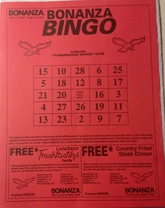 93 Wheeling Thunderbirds ECHL Hockey Game Program Promo BINGO Card West Virginia - Picture 1 of 4