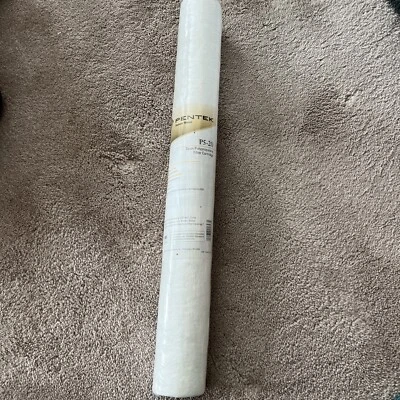 Pentair Pentek P5-20 155016-43 20" Sediment Water Filter - 5 Micron - Image 1 of 4