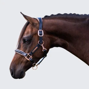 'Hollywood' leather halter - Picture 1 of 12