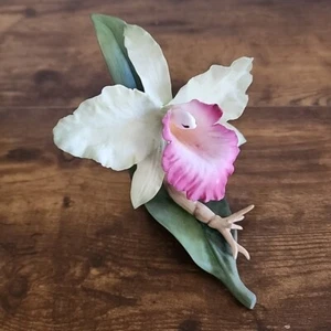 Böhmisches Porzellan seltene Cattleya Orchidee F339 USA 1993 Top Zustand - Bild 1 von 24