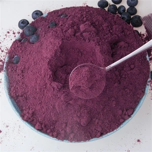 Polvo de jugo de arándano silvestre soluble en agua 250 g - Imagen 1 de 6